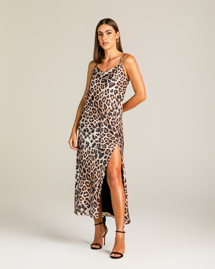 Anne Fernandes Animal Print Long Dress